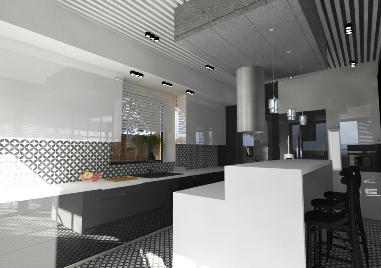 Read more about the article Kuchnia w domu jednorodzinnym, Szczecin, 2015